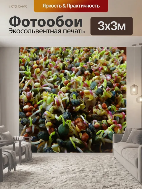 Фотообои Росток