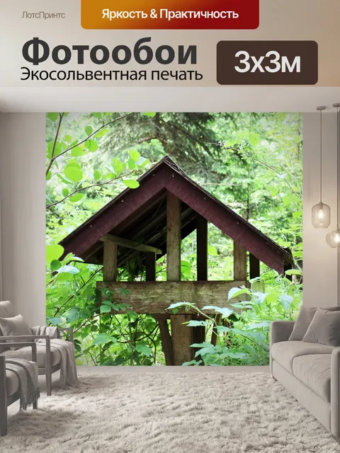 Фотообои Птица