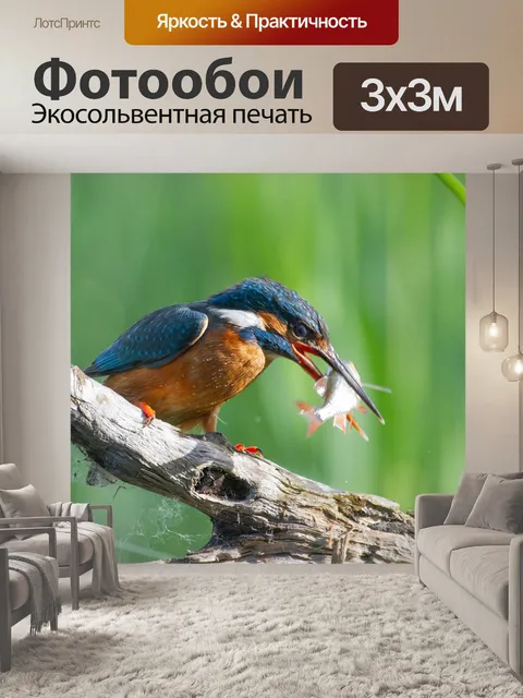Фотообои Птицы
