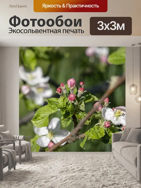 Фотообои Цветок