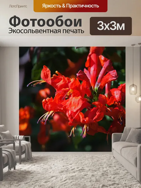 Фотообои лепестки апельсиновой накидки, медовая г