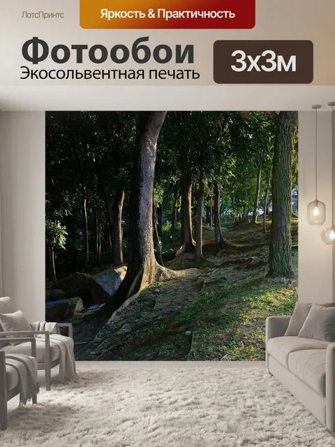 Фотообои Лес