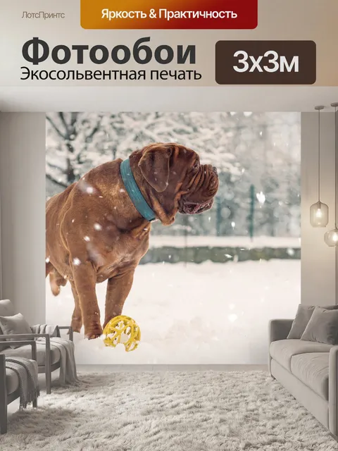 Фотообои Животное