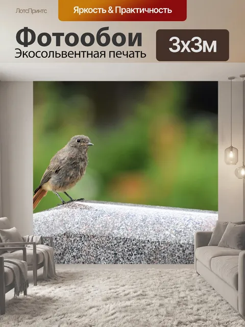 Фотообои Горихвостка птица на надгробие