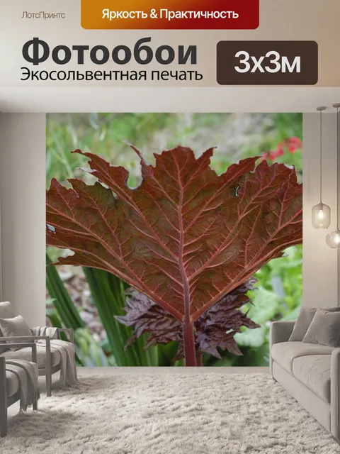 Фотообои Лист