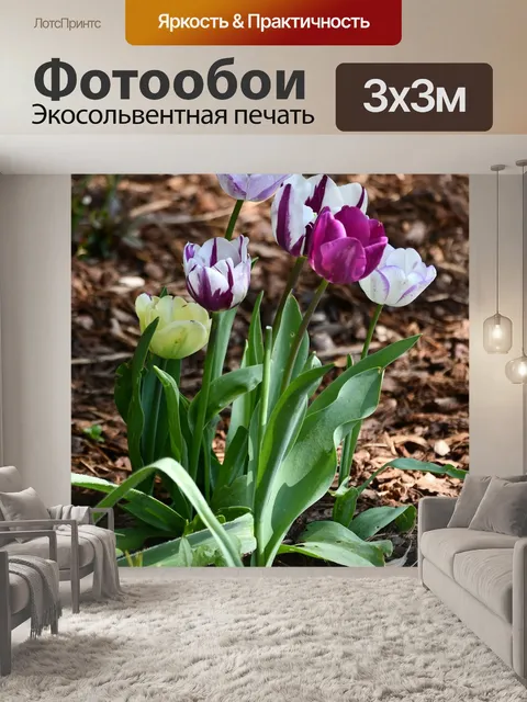 Фотообои Цветы
