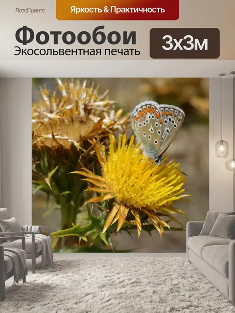 Фотообои Цветы