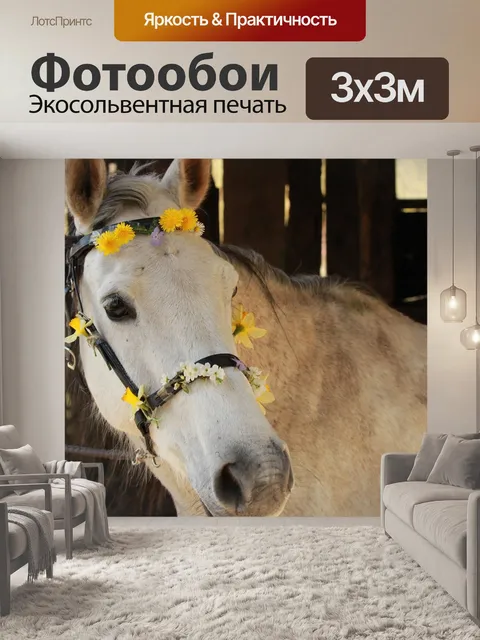 Фотообои Лошадь