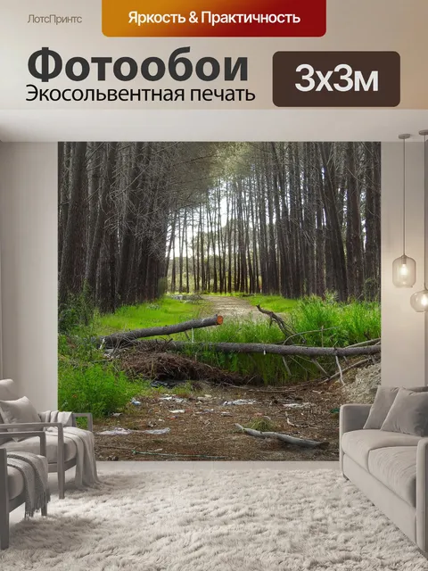 Фотообои Деревья