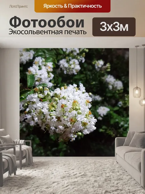 Фотообои Цветок