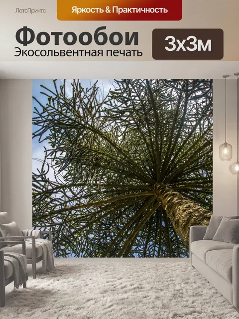 Фотообои Сосновое дерево острова Норфолк