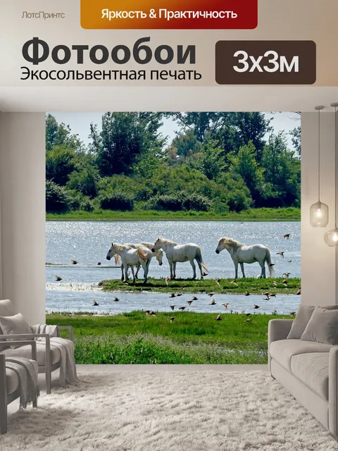 Фотообои Лошади