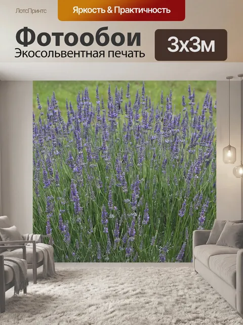 Фотообои Лаванда