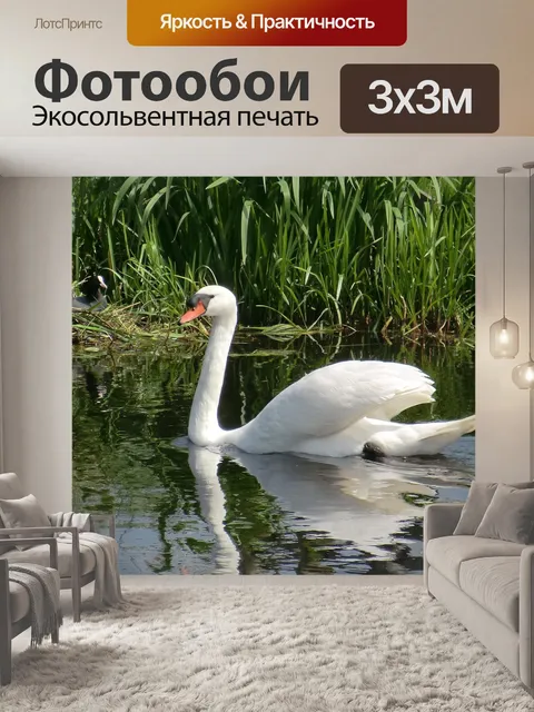 Фотообои Природа
