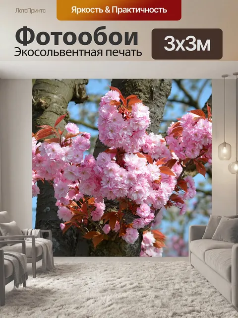 Фотообои Вишня в цвету