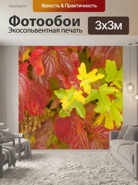 Фотообои Платан