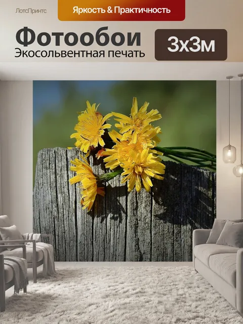 Фотообои Цветы