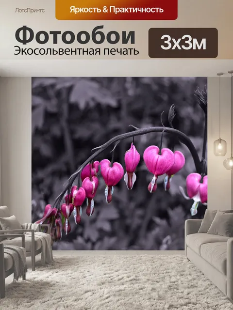 Фотообои Ницца цветов