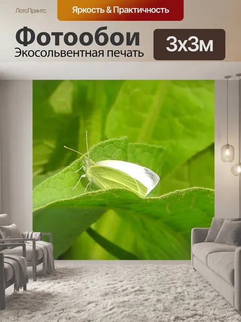 Фотообои Белый