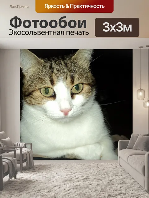 Фотообои Кошка