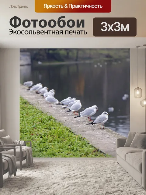 Фотообои Птицы