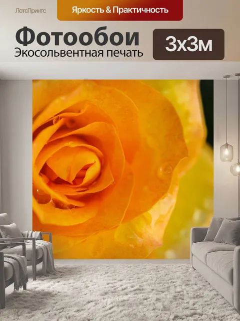 Фотообои Роза в саду