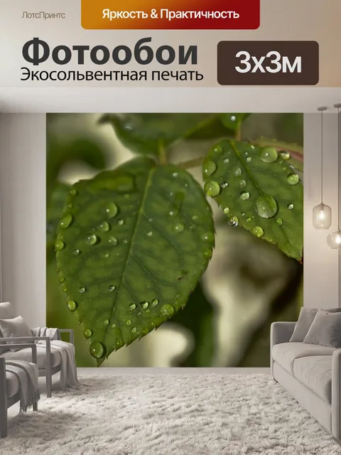 Фотообои Листья