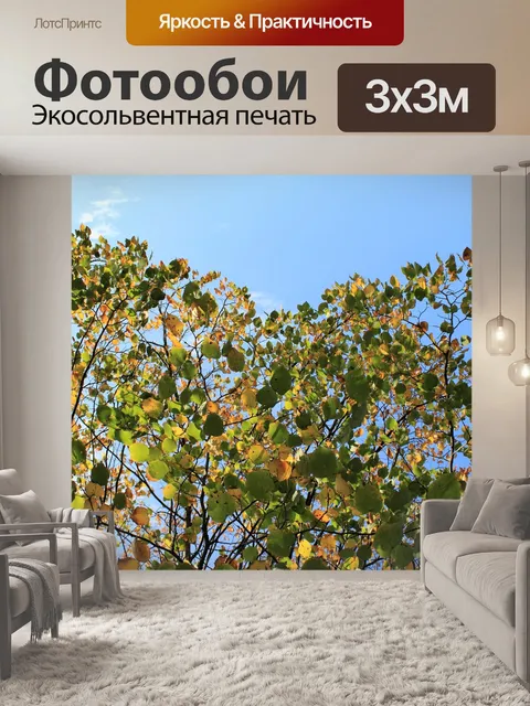 Фотообои Autumn