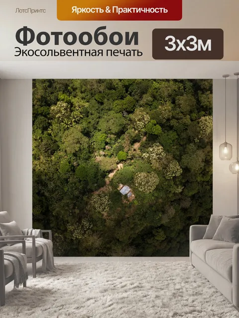 Фотообои Лес