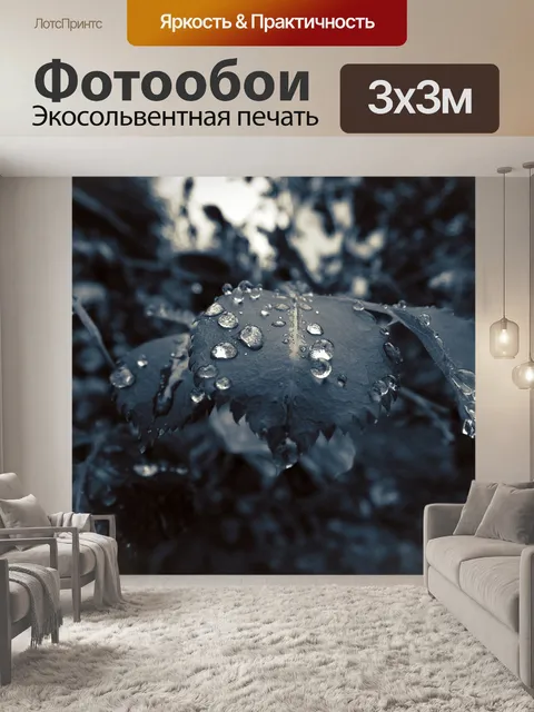 Фотообои Ночь
