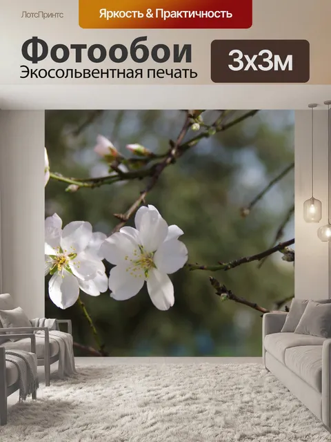Фотообои Цветы миндаля в дереве