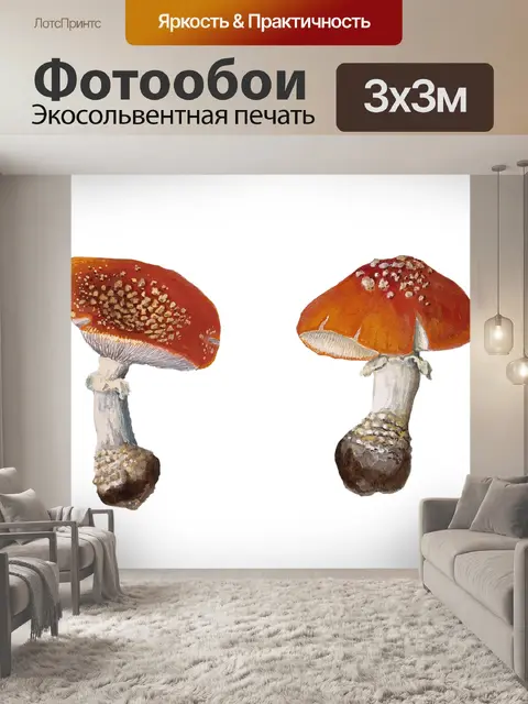 Фотообои Винтажное искусство Fly Agaric Mushroom
