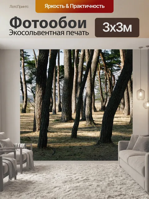 Фотообои Сосна