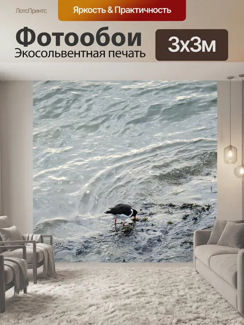 Фотообои Ловец устриц, черно-белый