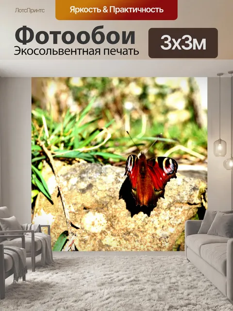 Фотообои Бабочка