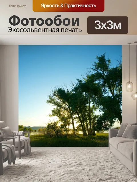 Фотообои Деревья Beside Западной озера