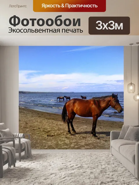 Фотообои Лошадь