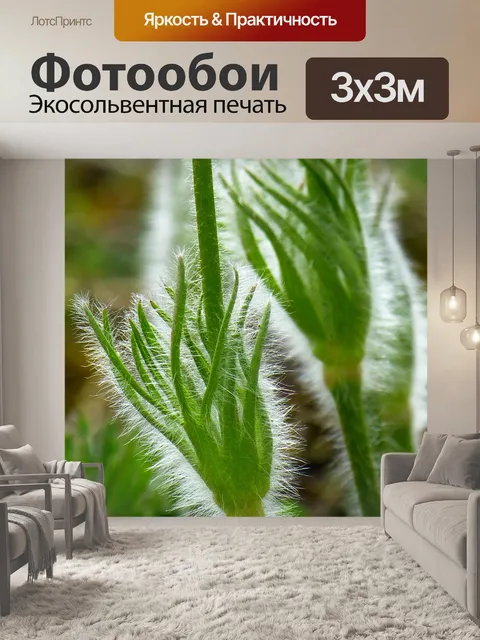 Фотообои Прострел
