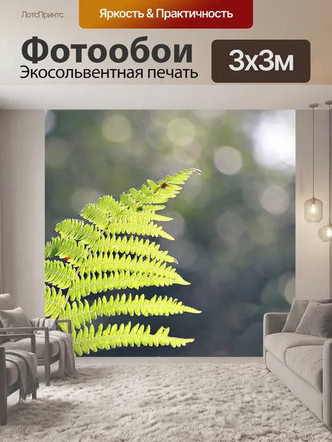 Фотообои Папоротник