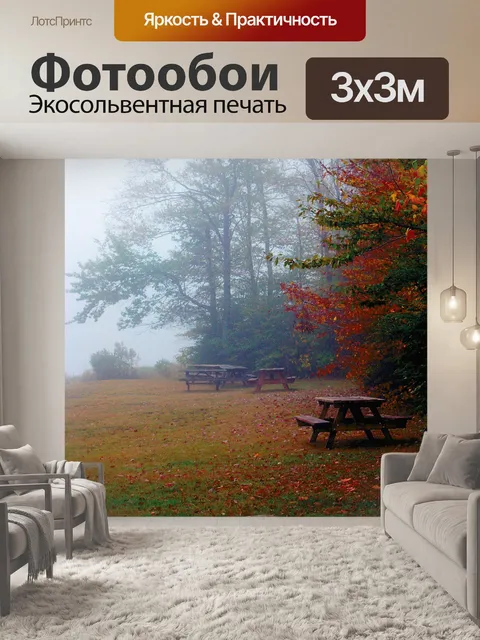 Фотообои Туманное утро