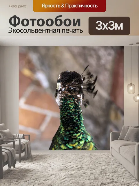 Фотообои Павлин