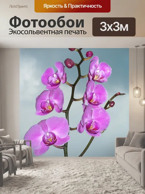 Фотообои Орхидея