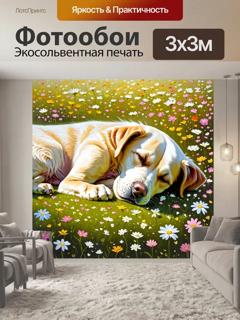 Фотообои лабрадор, спящий на цветочном лугу, окруженный аккуратно расположенными цветами
