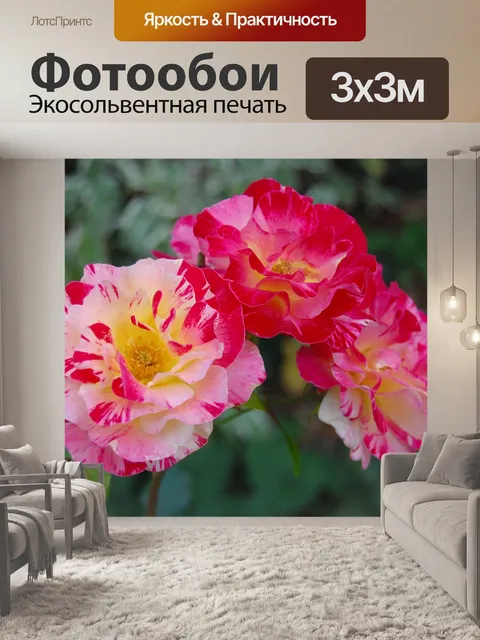 Фотообои Розовый