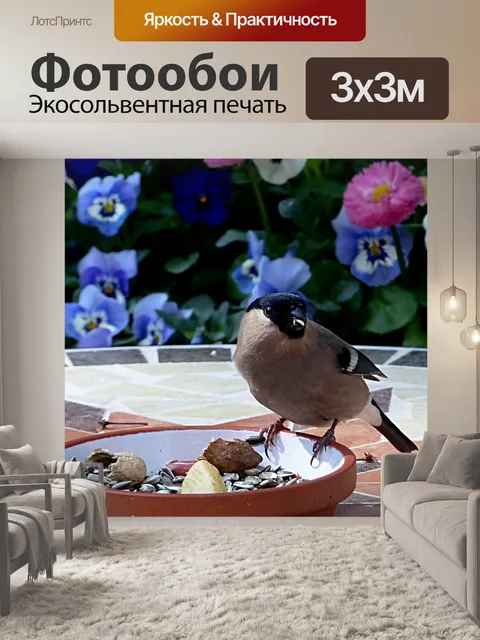 Фотообои Животное