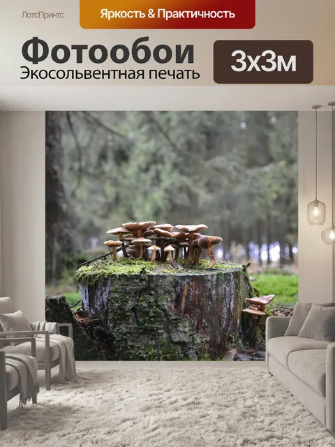 Фотообои Грибы