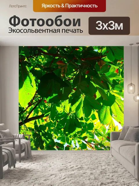 Фотообои Листья каштана