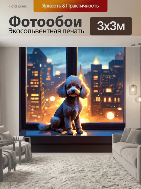 Фотообои миниатюрный пудель, сидящий на подоконнике с видом на дождливый город