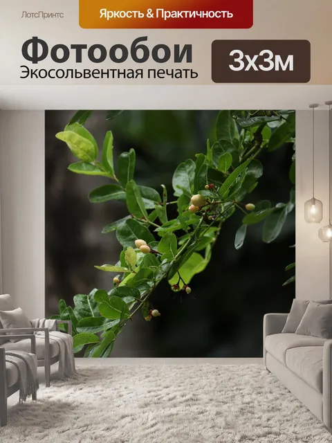 Фотообои Дерево
