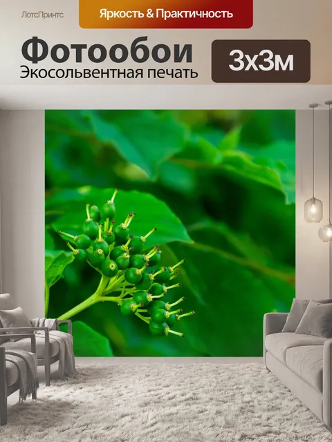 Фотообои Зеленый